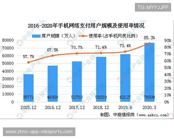 国际篮球联赛数据分析团队扩展与合作方案，国际篮球比赛人数